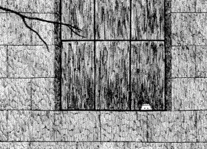 6a00d83451f25369e200e54f180cd48833-800wi