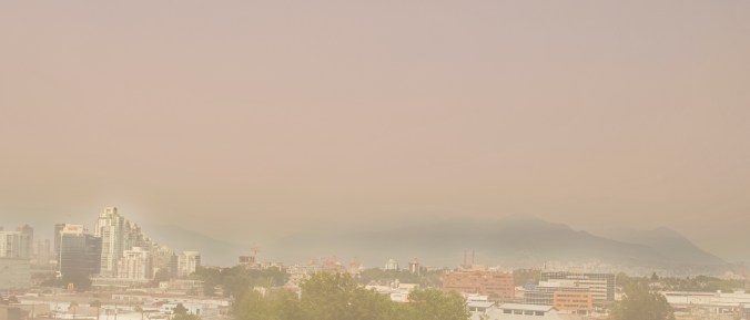 Photo: Brayden McCluskey